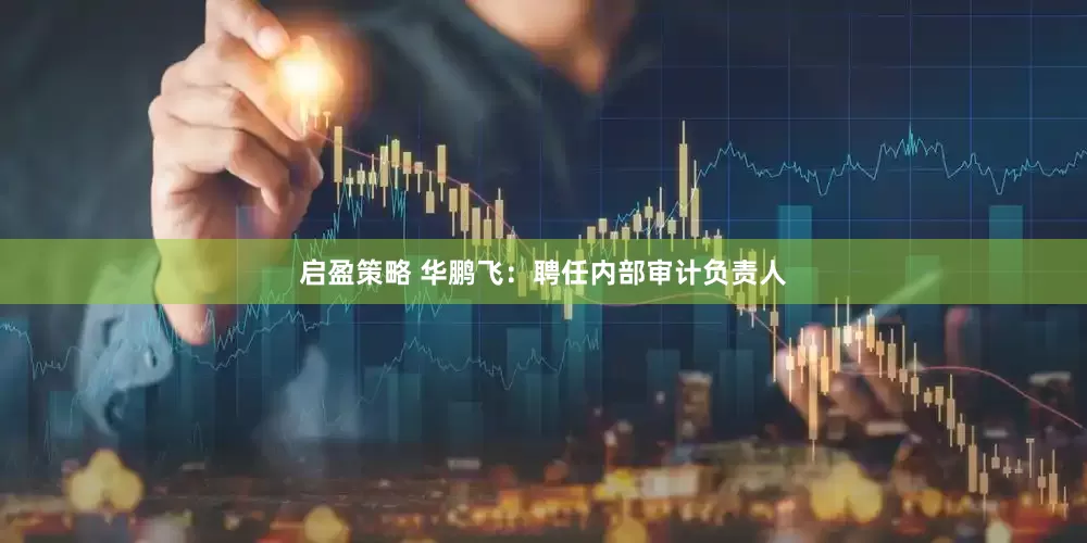 启盈策略 华鹏飞：聘任内部审计负责人